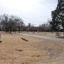 Lubbock Cemetery