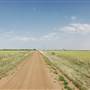 Wheat Field on SH114