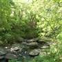 Oliver Nature Park
