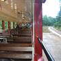 Texas State Railroad - 1901 Steam Train