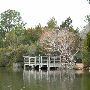 Lake Bastrop