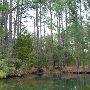Lake Bastrop