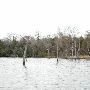 Lake Bastrop