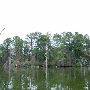 Lake Bastrop