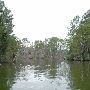 Lake Bastrop