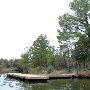 Lake Bastrop