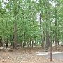 Huntsville State Park