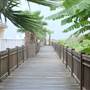 Hilton Garden Inn - South Padre Island