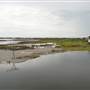 South Padre Island Birding and Nature Center & Alligator Sanctuary