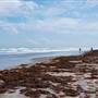Boca Chica Beach & Dunes