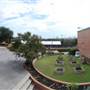 Trinity University