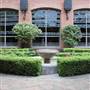 Trinity University