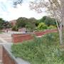 Trinity University