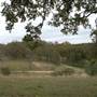 Old Glory Ranch