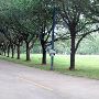 Brazosport College Complex - Corporate Learning Center