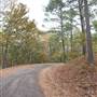 Davey Dogwood Park