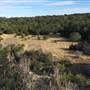 Old Ponderosa Ranch
