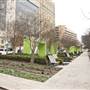 Main Street Garden
