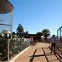 Animal World and Snake Farm