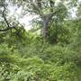 Cedar Hill State Park