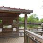 Cedar Hill State Park