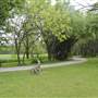Cedar Hill State Park - Penn Farm