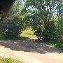 Texas State Railroad