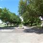 Fair Park Dallas