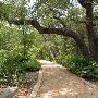 Zilker Botanical Gardens
