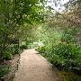 Zilker Botanical Gardens