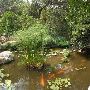 Zilker Botanical Gardens