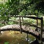 Zilker Botanical Gardens