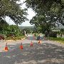 Zilker Botanical Gardens