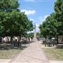 Milam Park