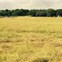 Trails End Ranch