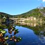 Madrone Ranch