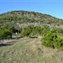 Madrone Ranch