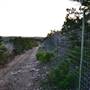 Madrone Ranch