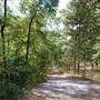 Quitman Arboretum