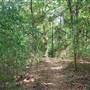 Quitman Arboretum