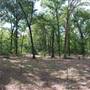 Quitman Arboretum