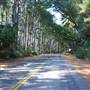 Tyler State Park