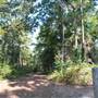 Tyler State Park