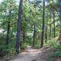 Tyler State Park