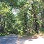 Tyler State Park