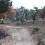 Henly Hill Ranch