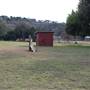 Longhorn River Ranch