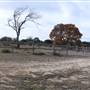 Longhorn River Ranch