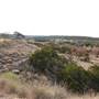 Longhorn River Ranch