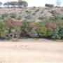 Longhorn River Ranch